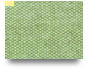 MFTP_49