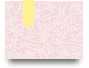 IWIN